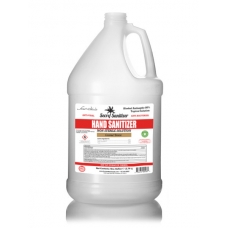 Coconut Breeze Secret Sanitizer (Liquid)